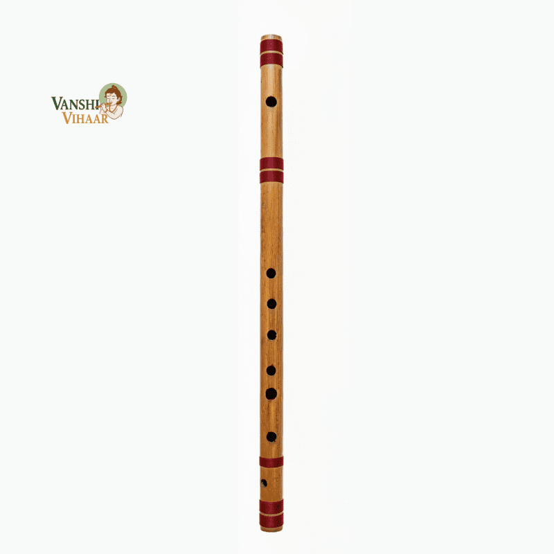 vanshi vihaar maroon